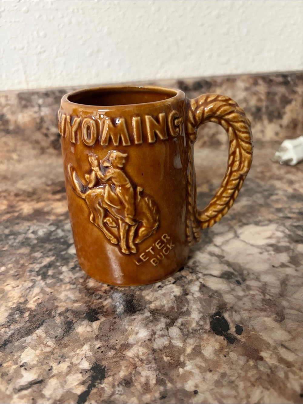 Wyoming Letter Duck Brown Ceramic Mug with Rope Handle